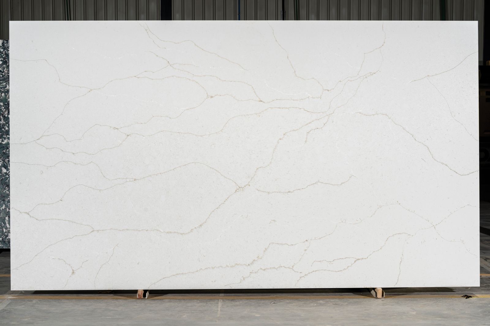 Avorio Linea