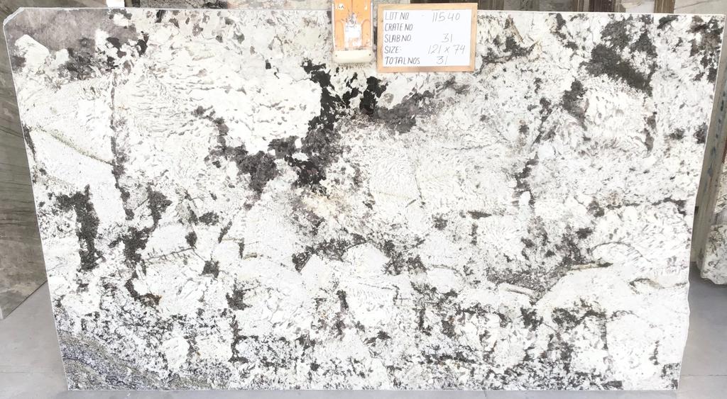 Delicatus White
