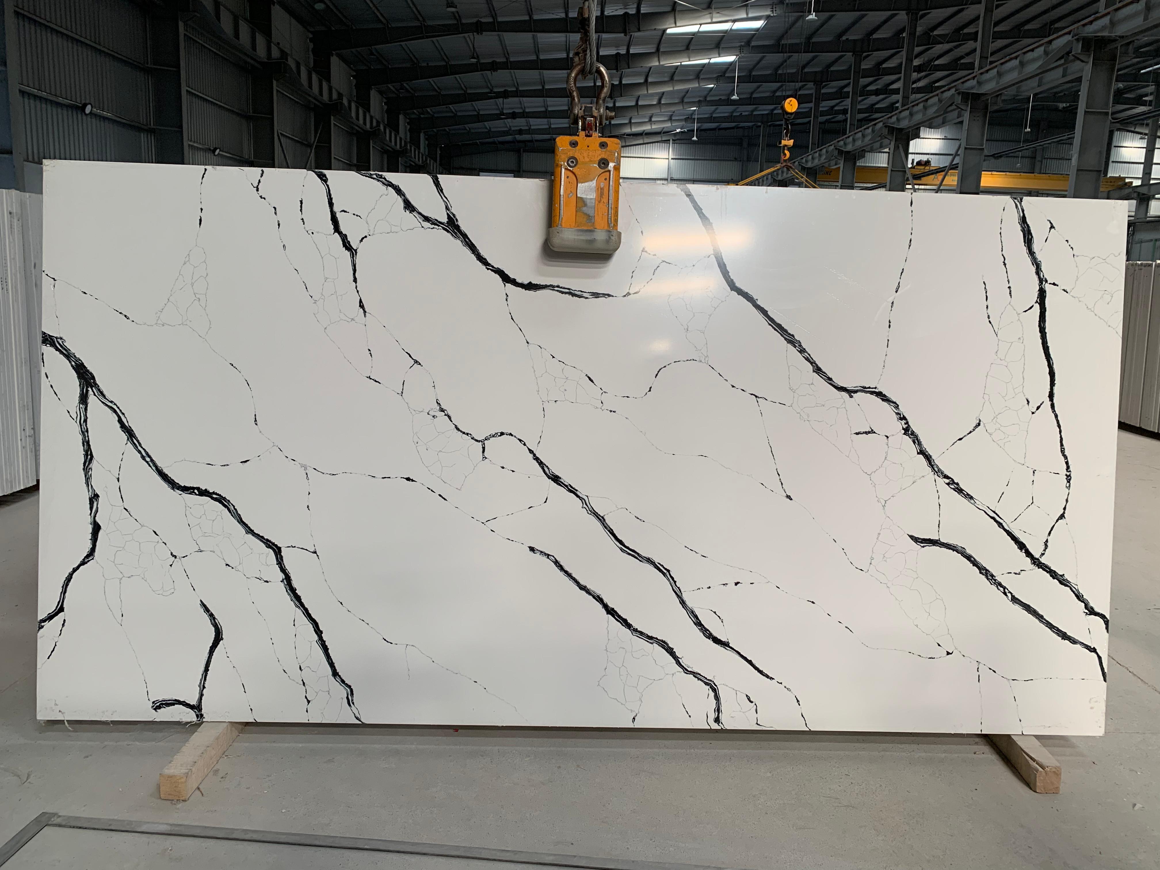 Calacatta Regal Black