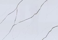Calacatta Convoy Grey
