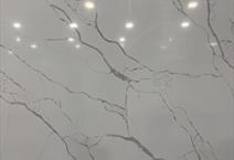 Bellino Gris (Super Jumbo)