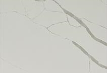 Bellino Gris (Super Jumbo)